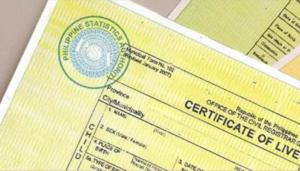 Birth_certificate_2023_11_10_01_16_52